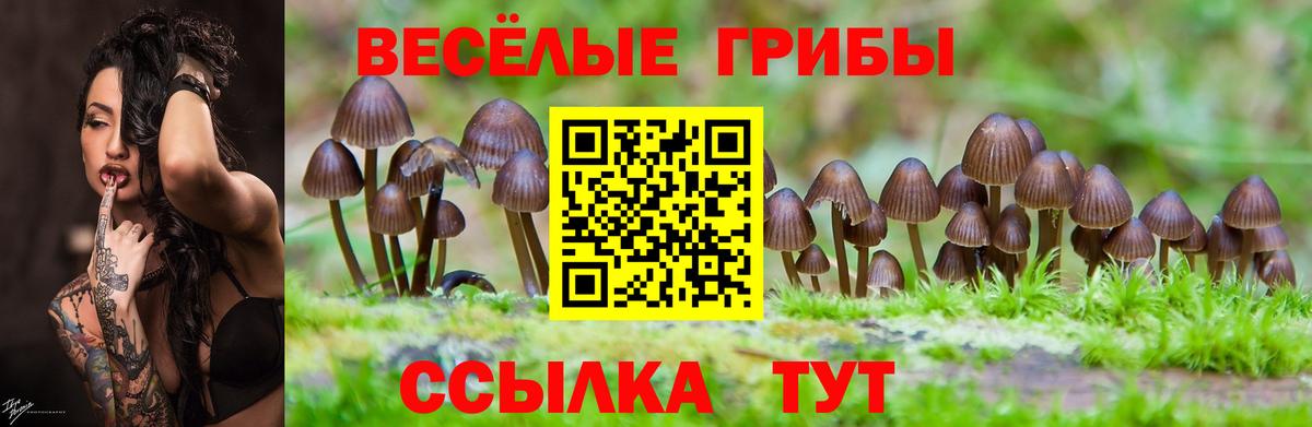 Галлюциногенные грибы Magic Shrooms  Вход с VPN  Верхняя Салда  Галлюциногенные грибы мухоморы 